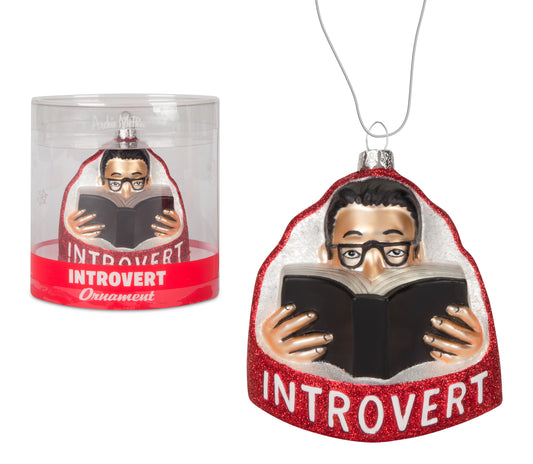'12553 ORNAMENT - INTROVERT GLASS