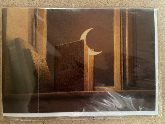 Inkognito Greeting Card 12851