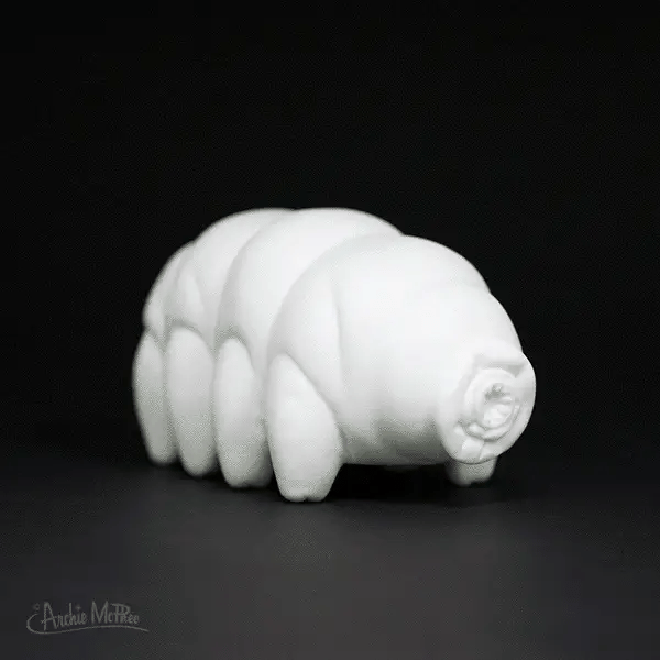 '12995 Tardigrade Night Light