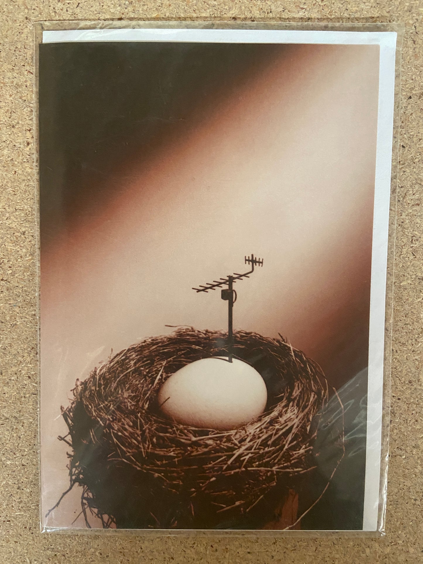 Inkognito Greeting Card 2182