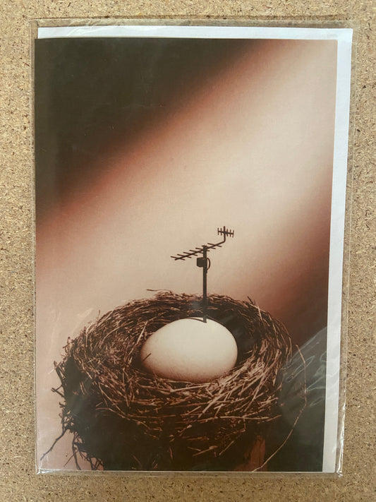 Inkognito Greeting Card 2182