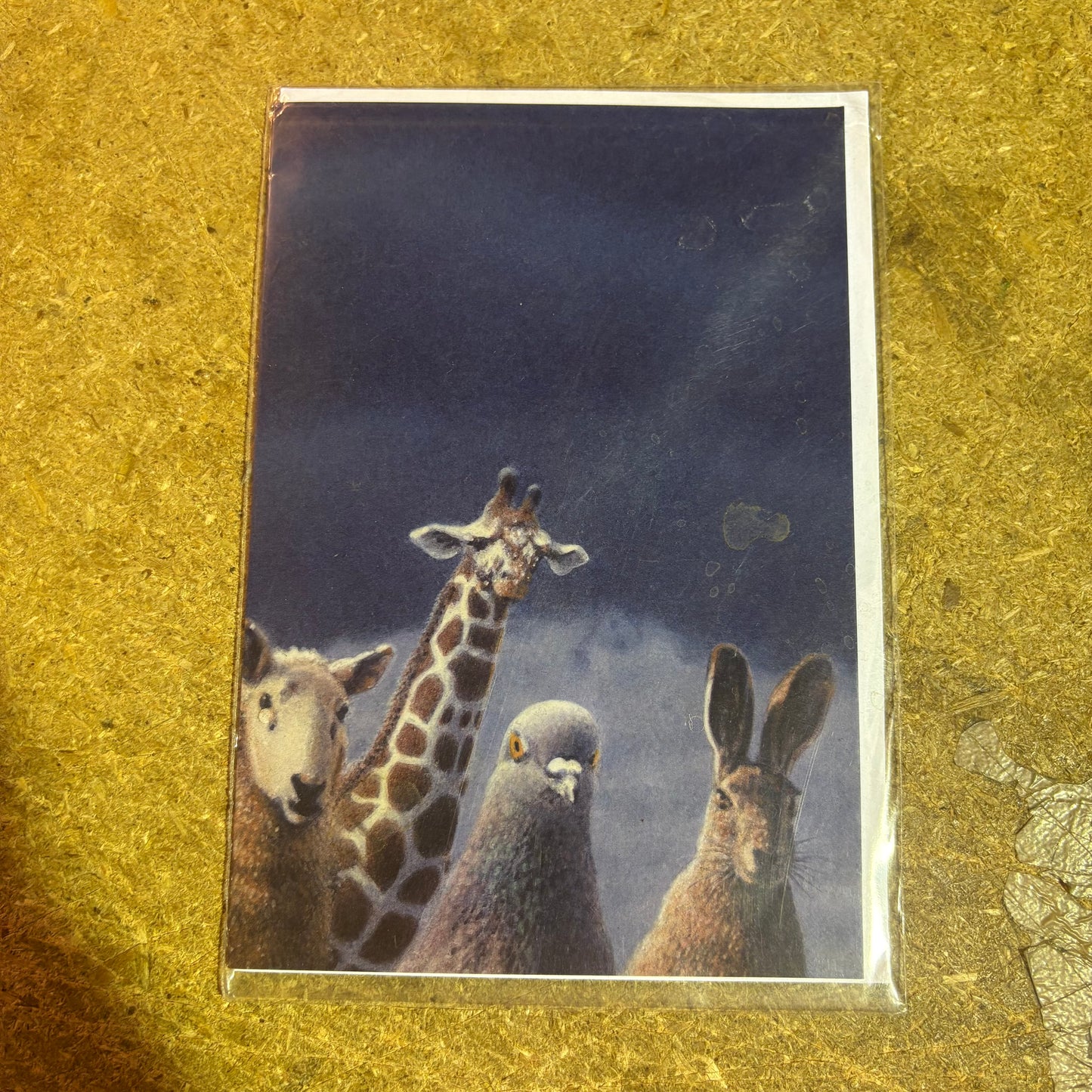 Inkognito Greeting Card 22813