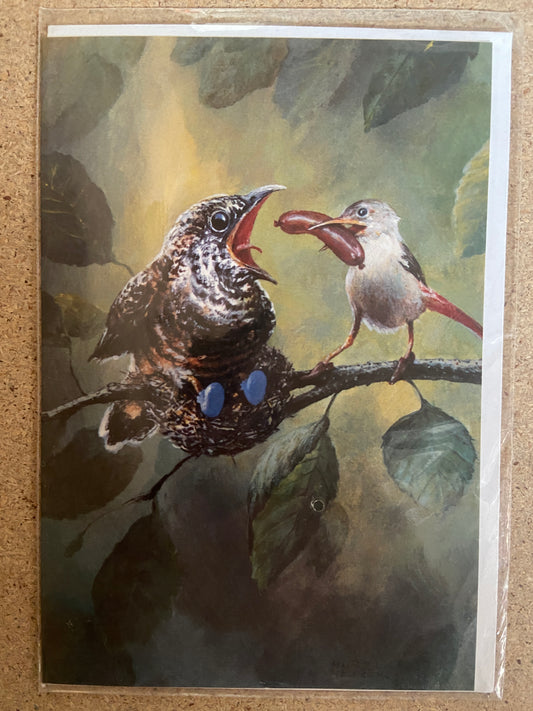 Inkognito Greeting Card 24723