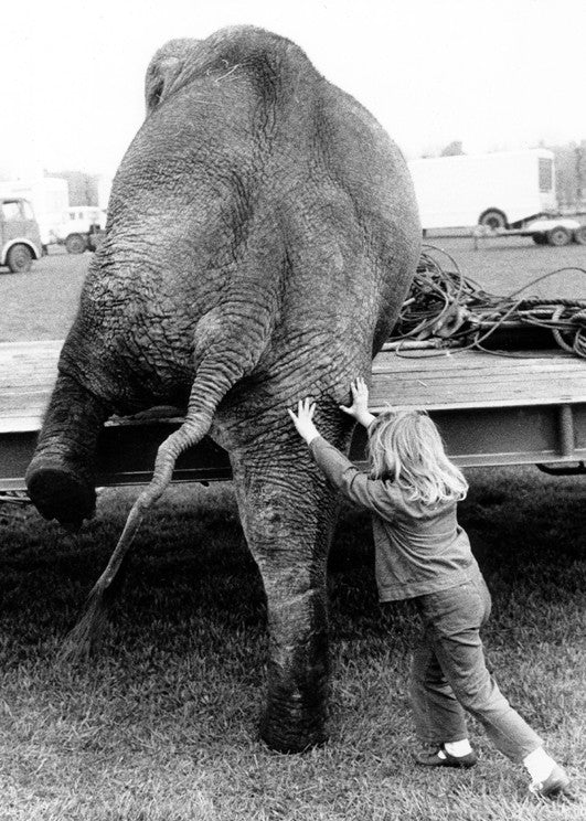 Inkognito Greeting Card: 27723