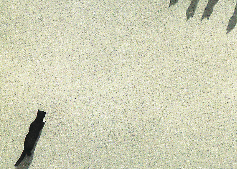 Inkognito Greeting Card: 2836