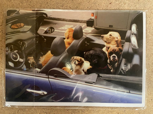 Inkognito Greeting Card 34635