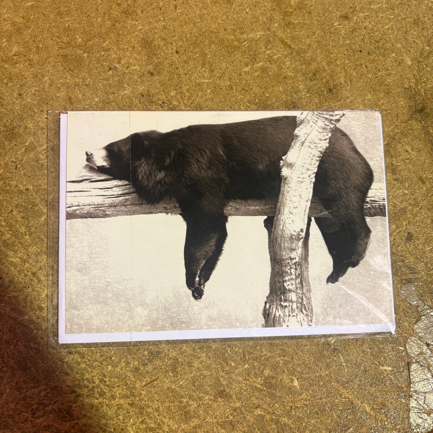 Inkognito Greeting Card 37706