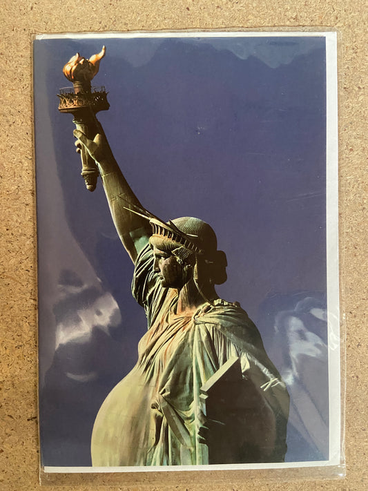 Inkognito Greeting Card 4045