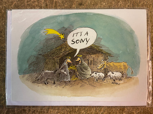 Inkognito Greeting Card 5950