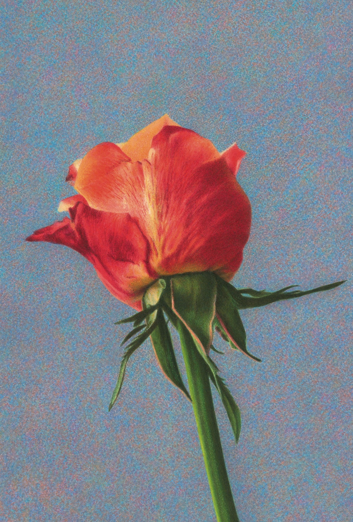 Inkognito Greeting Card 8038