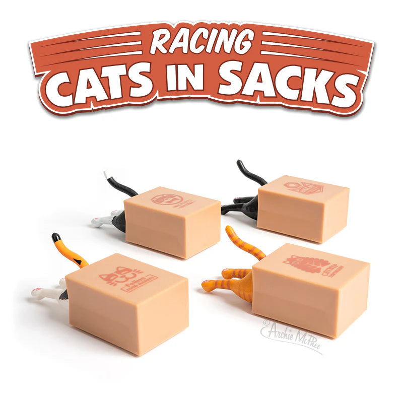 13068 - Racing Cats in Sacks