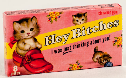 FS1014 Hey Bitches Gum