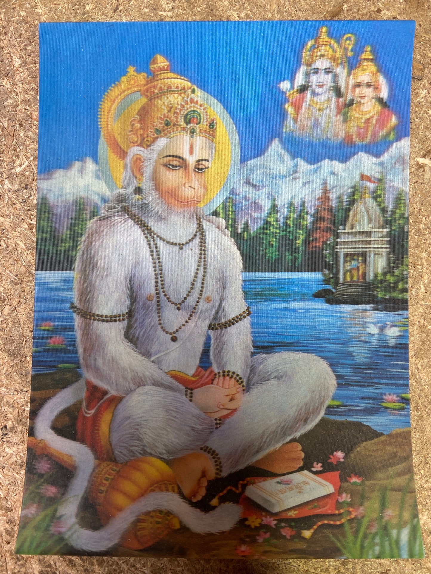 HDS - 9 Lenticular Postcard