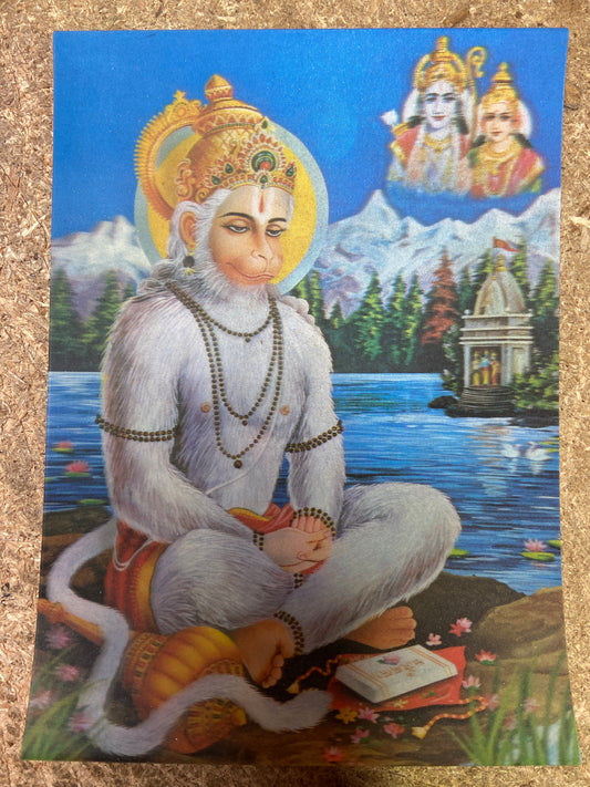 HDS - 9 Lenticular Postcard