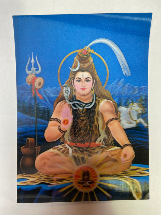 HDS - 3 Lenticular Postcard