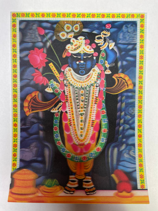 HDS - 2 Lenticular Postcard