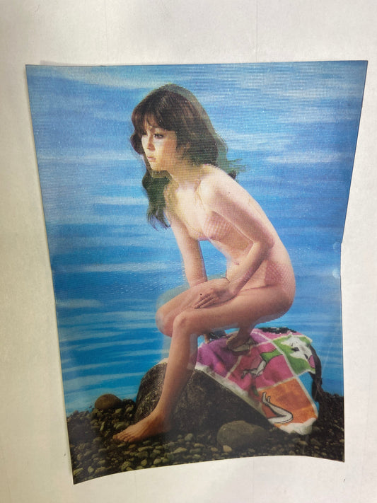 PK- 256 Lenticular Postcard