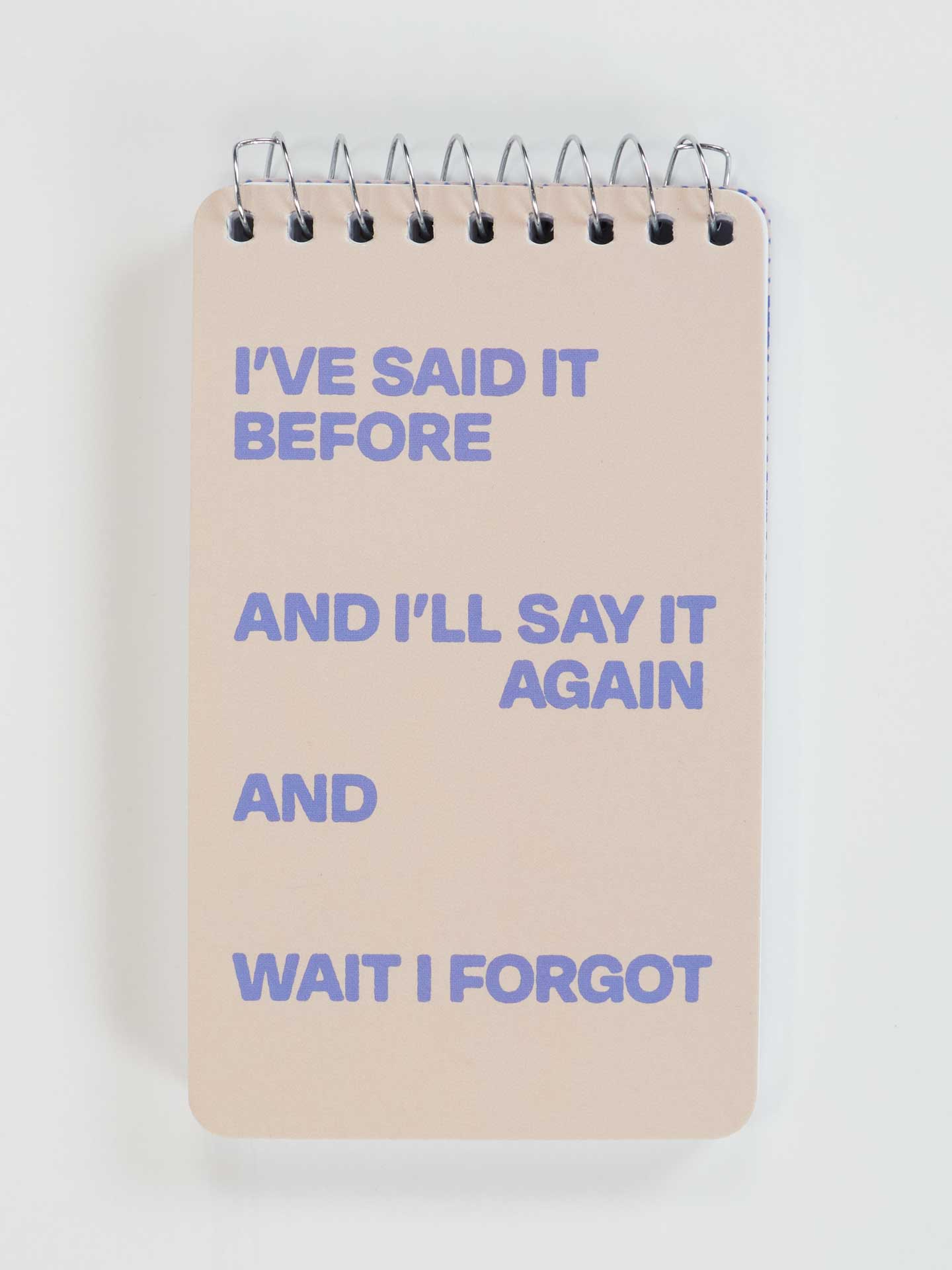 PP101 I've Said It Before And I'll Say It Again And Wait I Forgot 3x5 Spiral Notebook