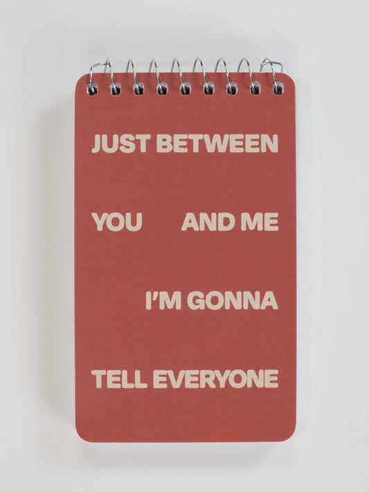 PP102 Just Between You And Me I'm Gonna Tell Everyone 3x5 Spiral Notebook