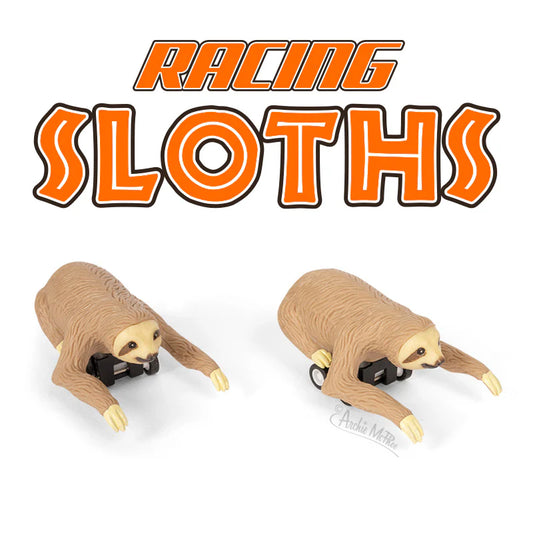 13022 - Racing Sloths