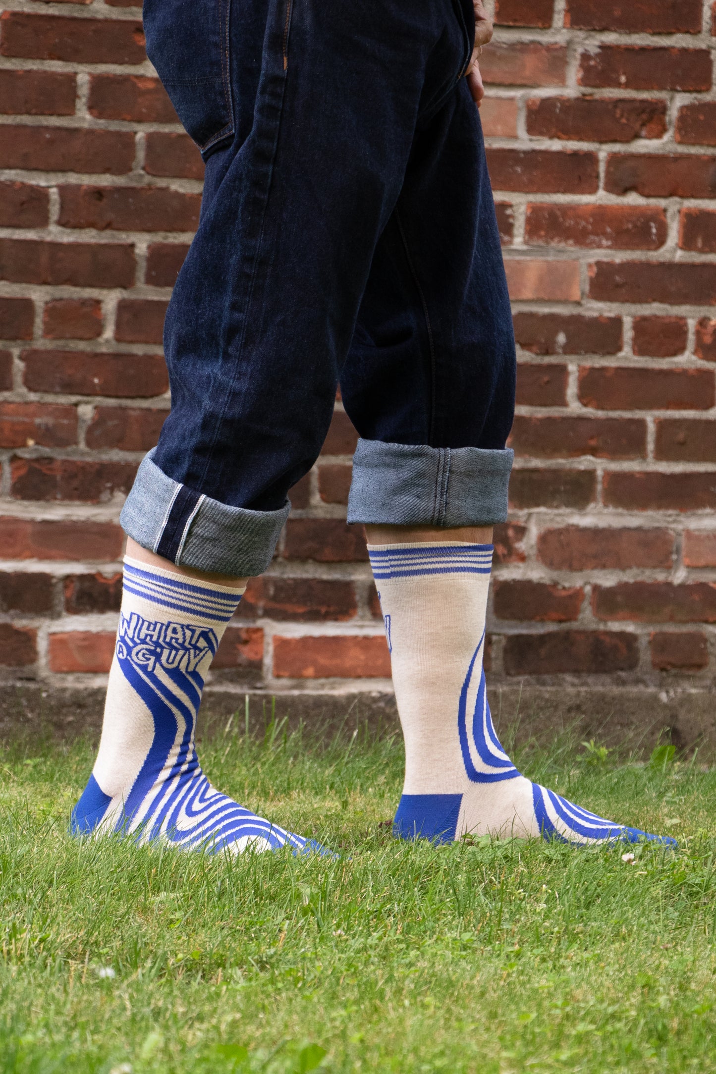 SW1000 What a Guy Men's Socks