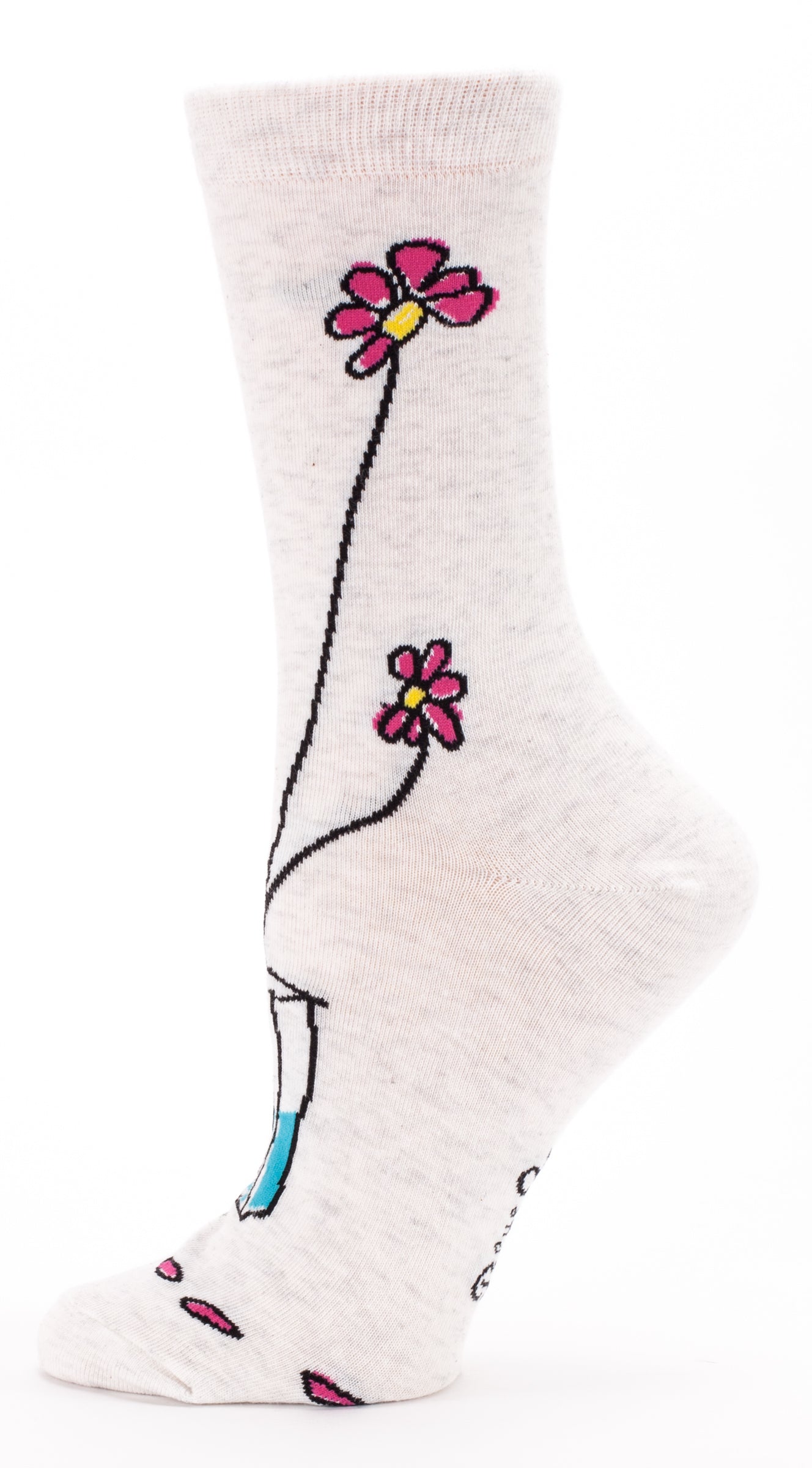 SW480 Take No Shit Women's Socks