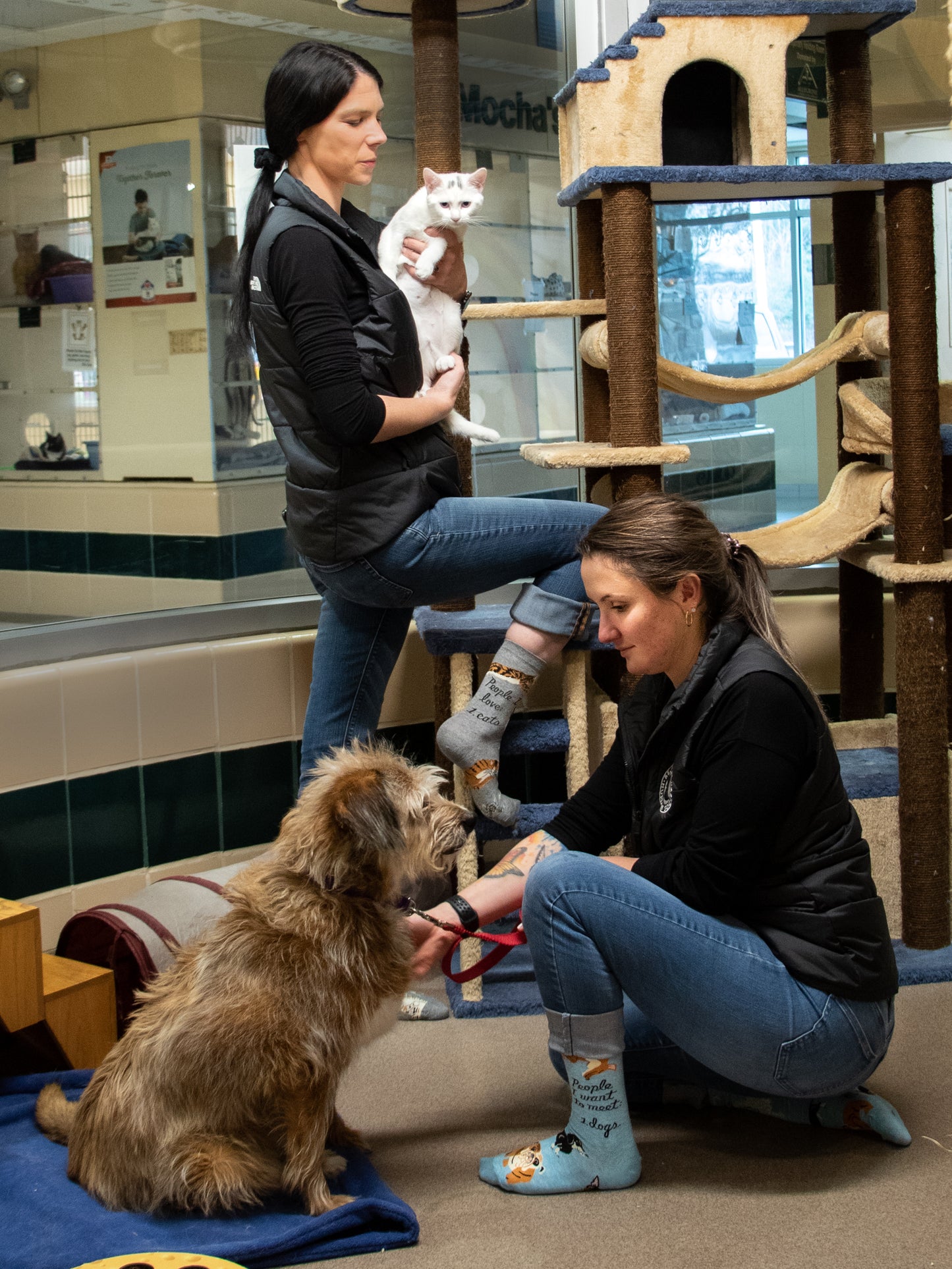 SW511 People to Meet: Dogs Women's Socks
