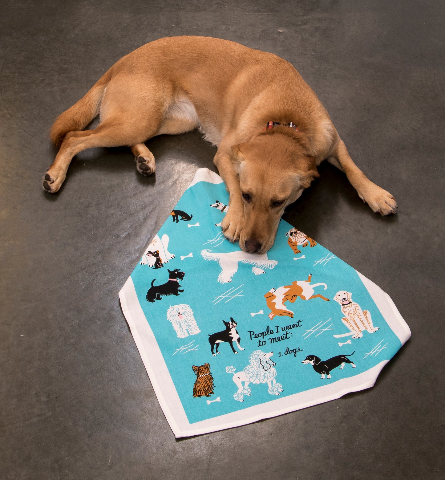 WW312 People To Meet: Dogs Dish Towel