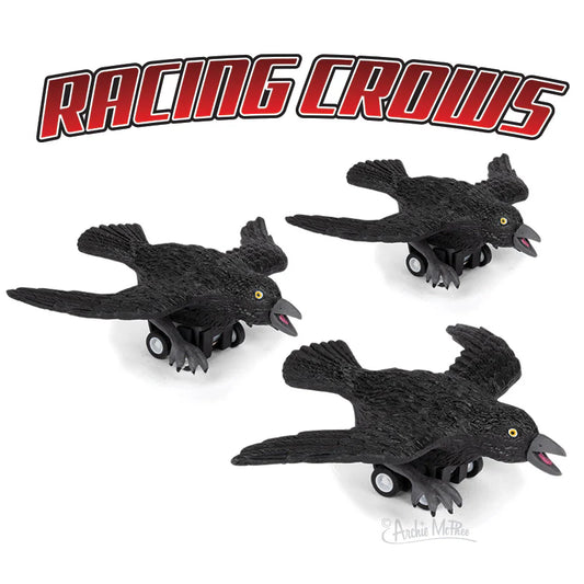 13024 - Racing Crows