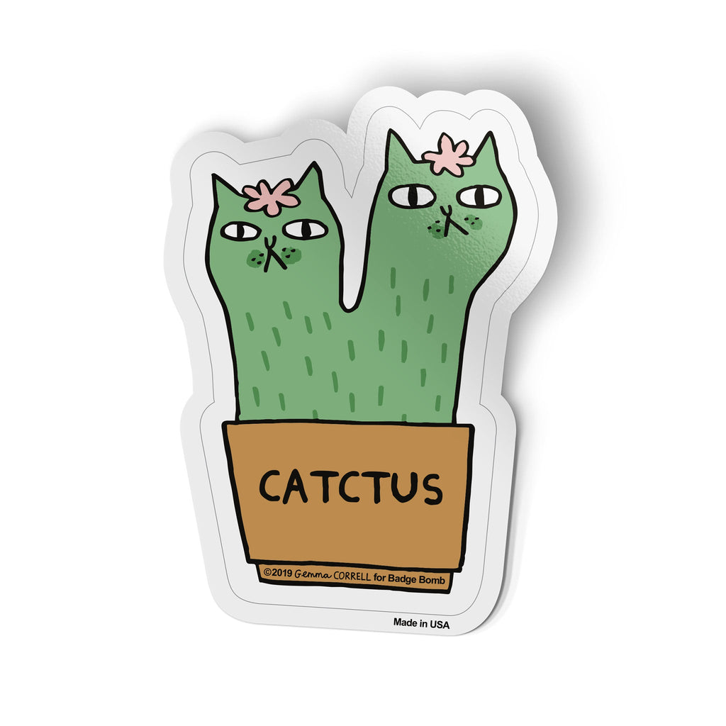 Catctus BigÊ