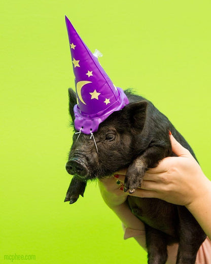 12584 Inflatable Wizard Hat For Cats