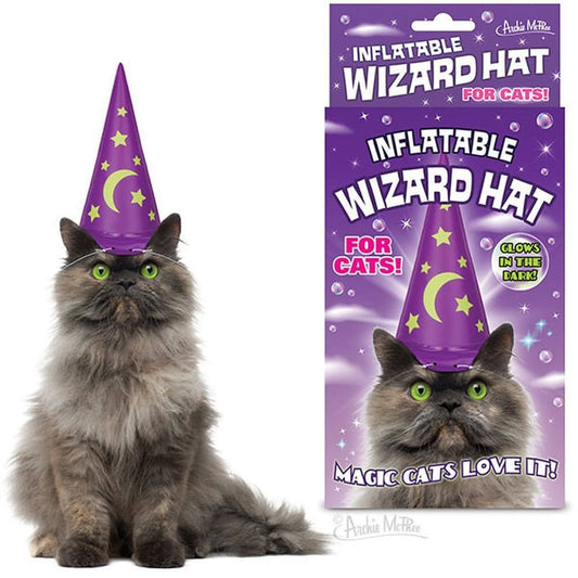 12584 Inflatable Wizard Hat For Cats