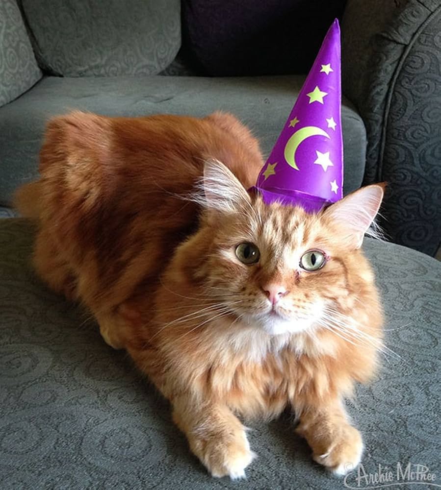 12584 Inflatable Wizard Hat For Cats
