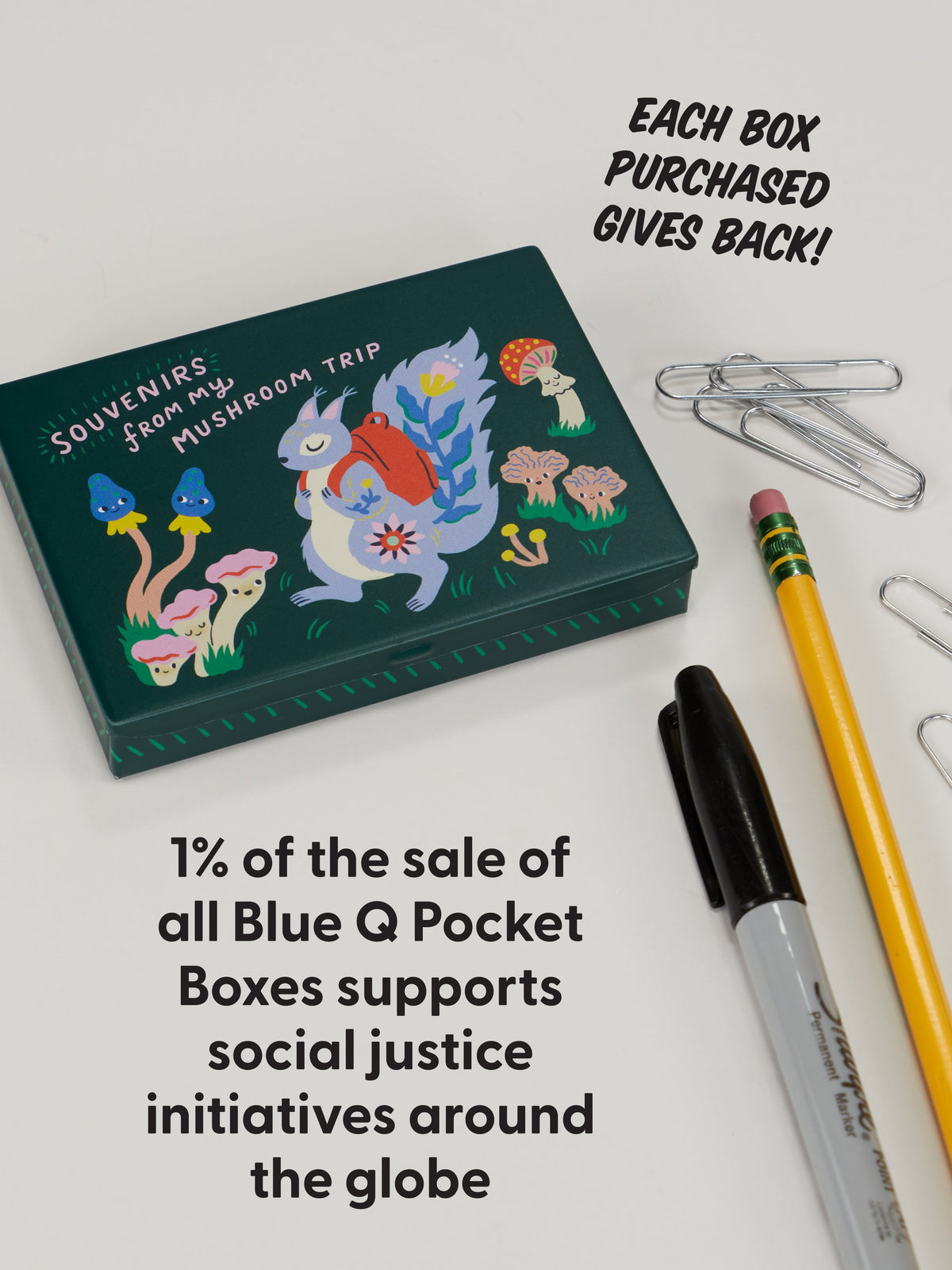 Souvenirs From My Mushroom Trip Pocket Box by Blue Q – image 9
