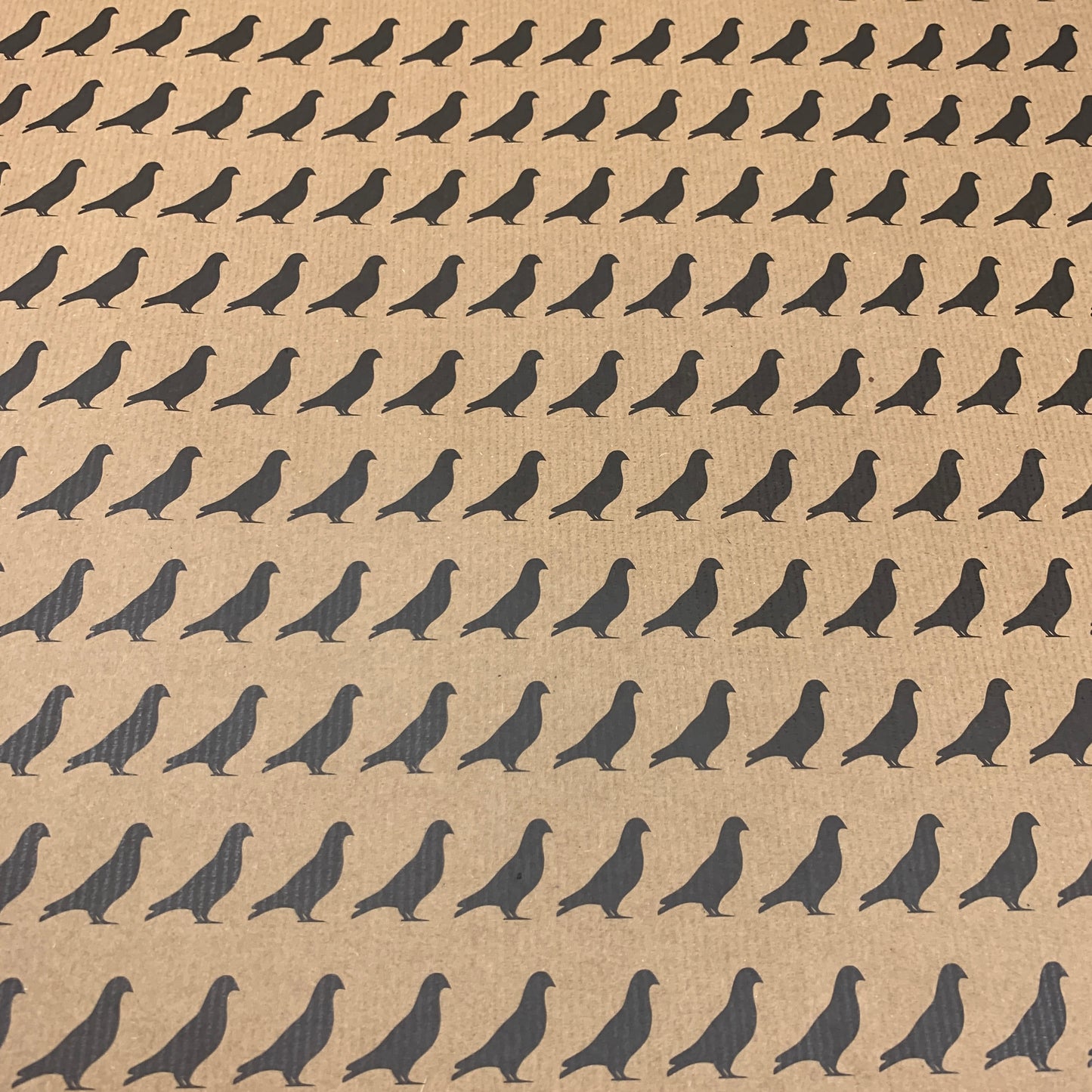 Wrapping Paper: Pigeon  - 1 sheet