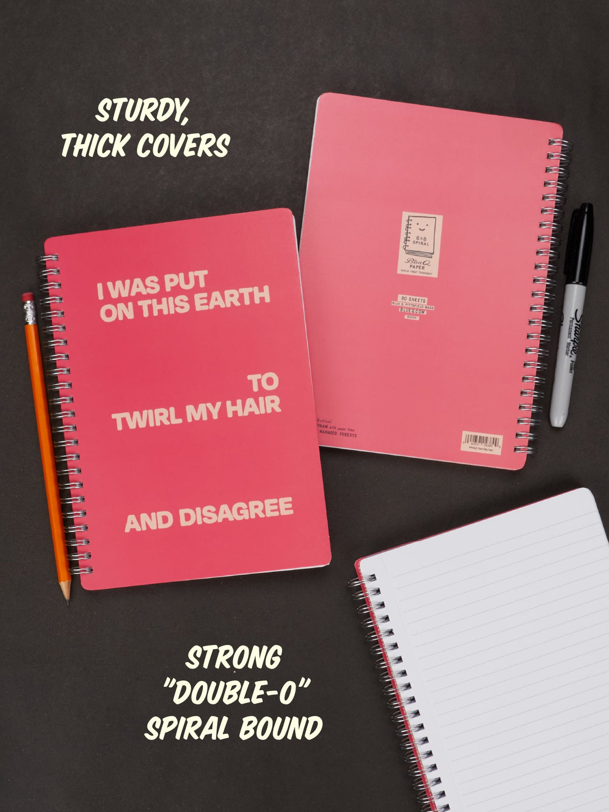 I Was Put On This Earth To Twirl My Hair And Disagree 6x8 Spiral Notebook by Blue Q – image 4