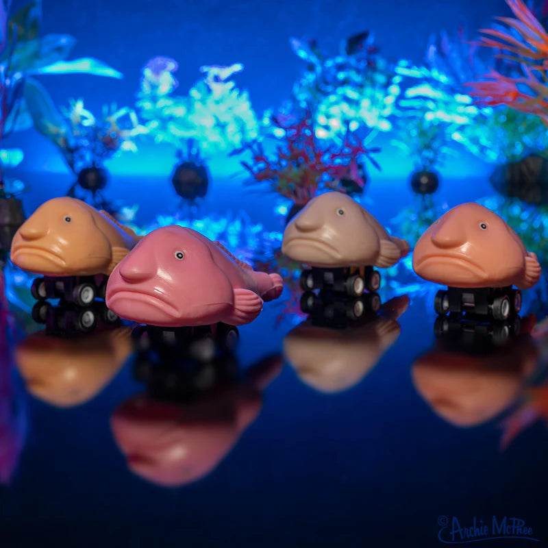 12990 - Racing Blobfish
