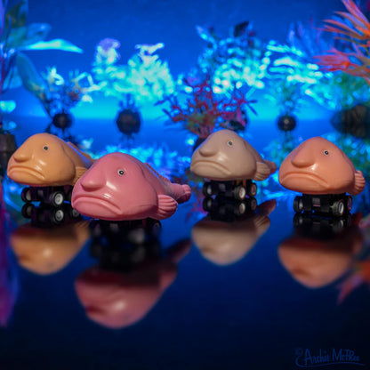 12990 - Racing Blobfish