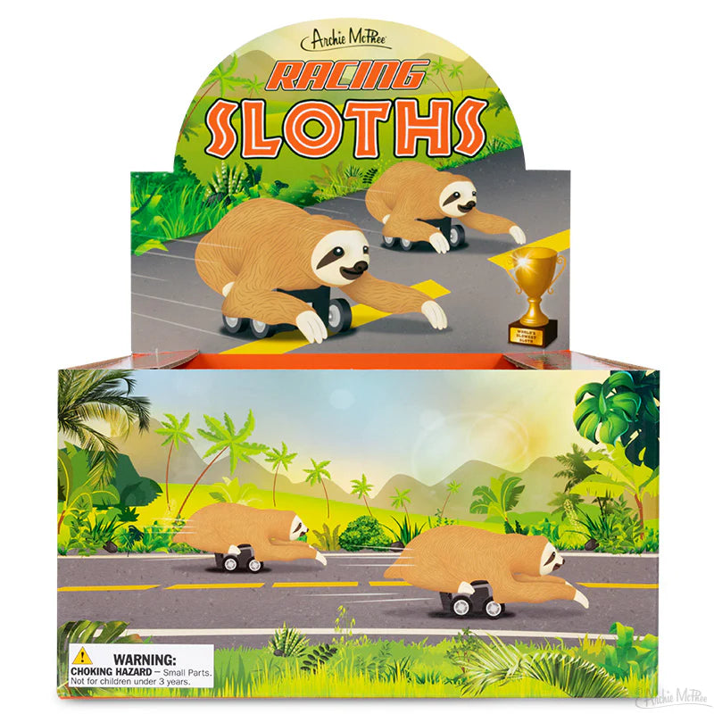 13022 - Racing Sloths