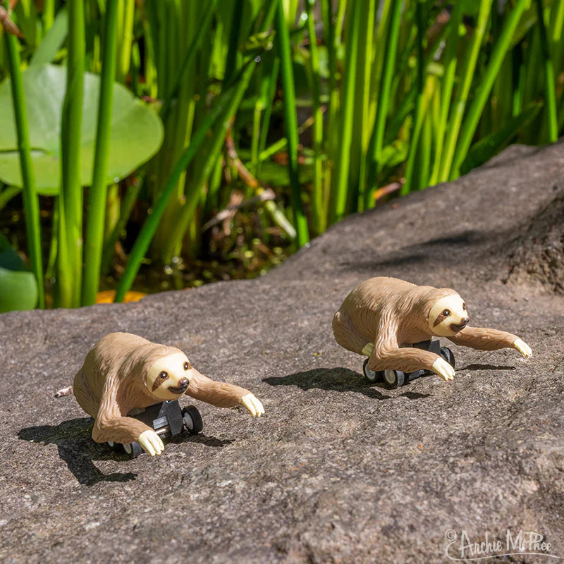 13022 - Racing Sloths