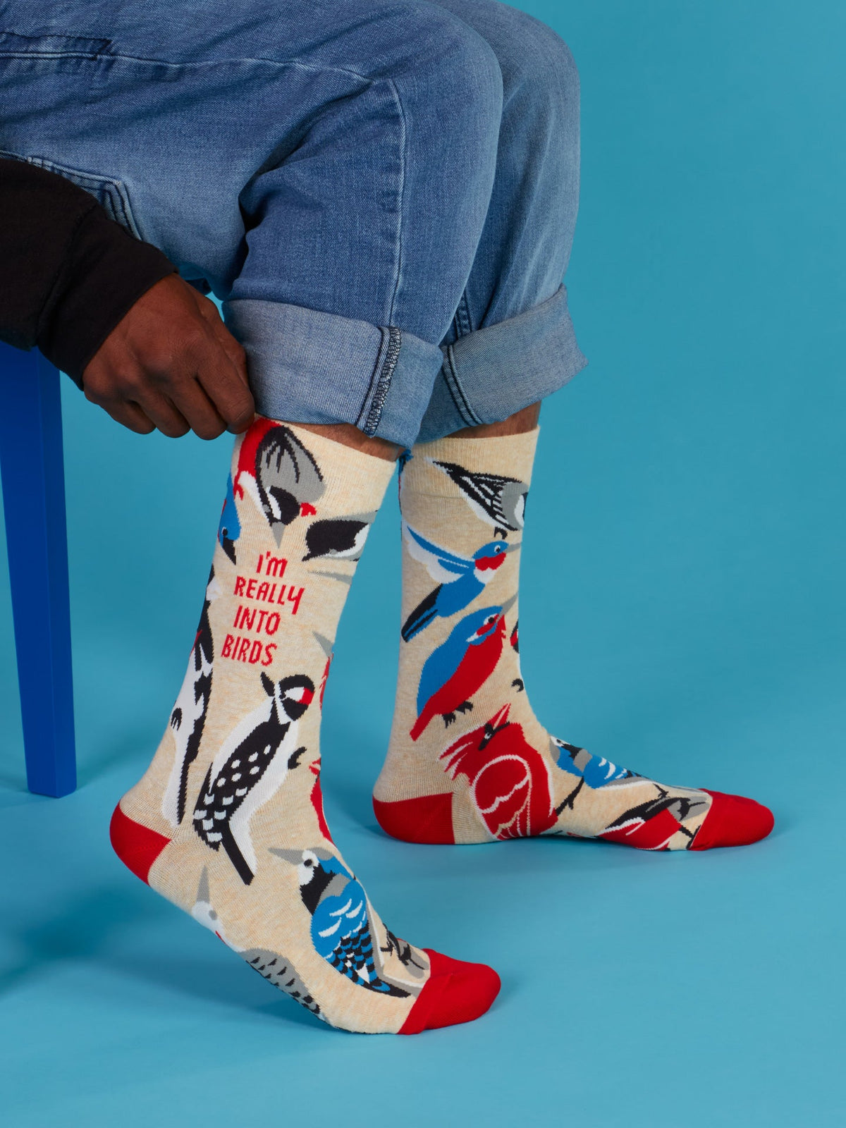 Really Into Birds Men's Socks by Blue Q – image 5