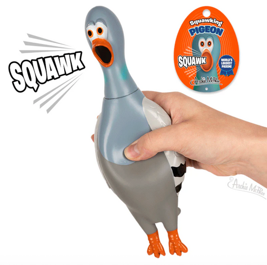 12969 Squawking Pigeon