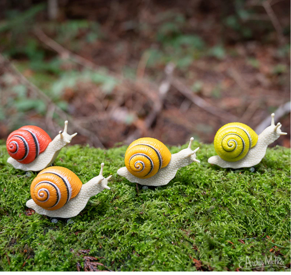 13097 Racing Snails