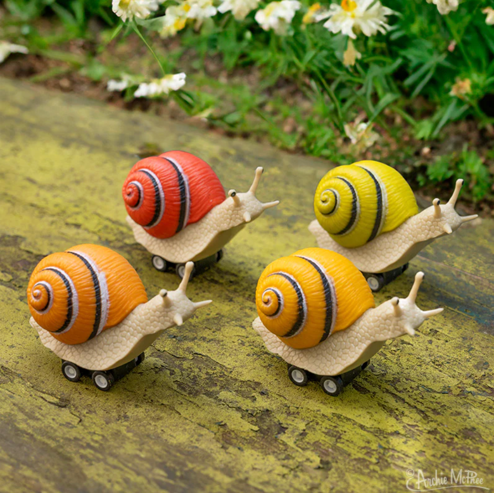 13097 Racing Snails