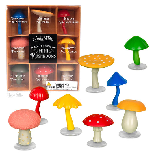 12996 A Collection Of Mini Mushrooms